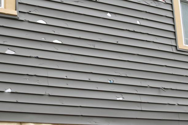 Best Aluminum Siding Installation  in Lifornia Polytechnic State University, CA